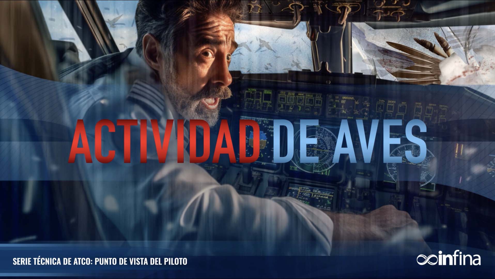 Para ATCOs de Pilotos: Actividad de Aves